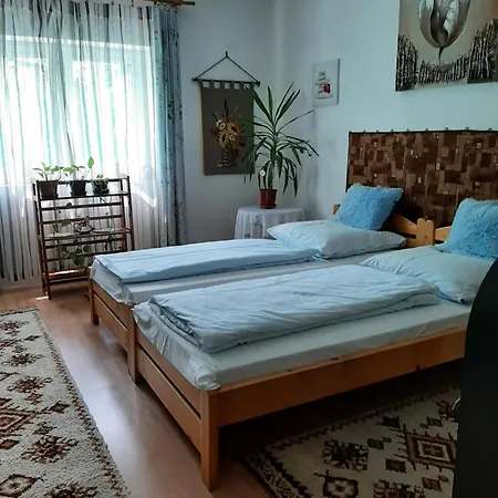 Rozsa Vendeghaz Abádszalók
