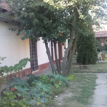 Rozsa Vendeghaz Abádszalók