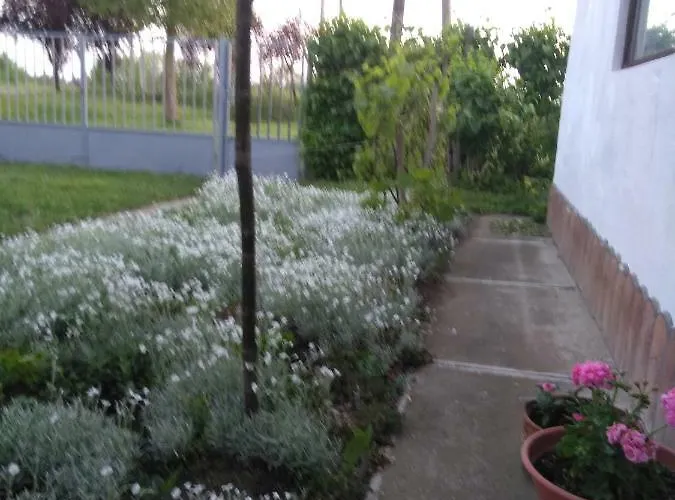 Rozsa Vendeghaz *
